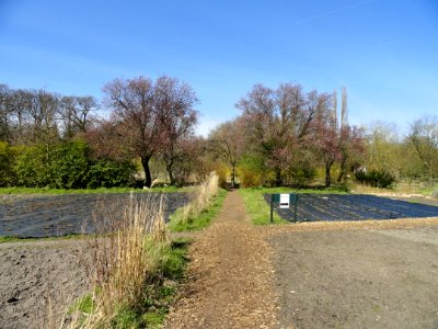Endegeesterstraatweg, Biologische Kweekerij de Groene Circel pic2