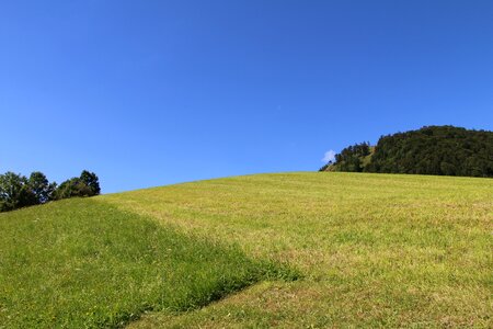 Salzburg gaisberg meadow
