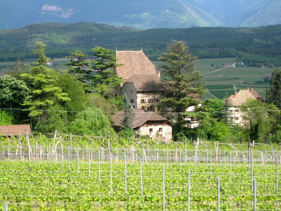 Englar in Eppan