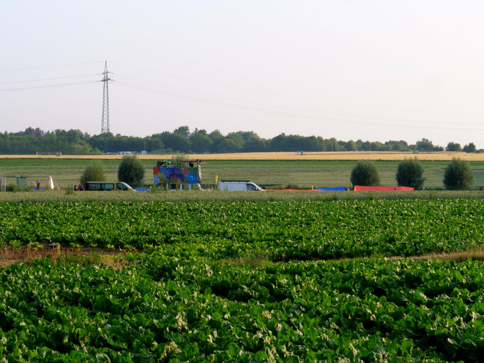 Ende Gelände Red Finger on a field near Keyenberg in the morning 22-06-2019 02