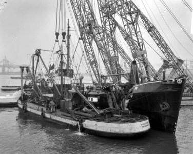 Engels schip Plover , weer boven water, Bestanddeelnr 913-1754