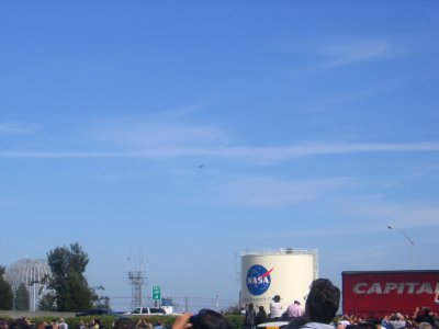 Endeavour escorts 1256