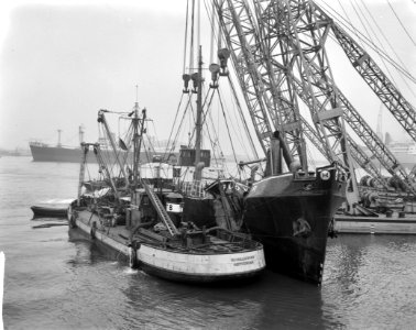 Engels schip Plover , weer boven water, Bestanddeelnr 913-1752