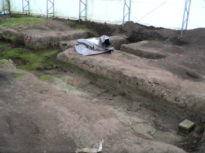 Engineer Cantonment excavations 3