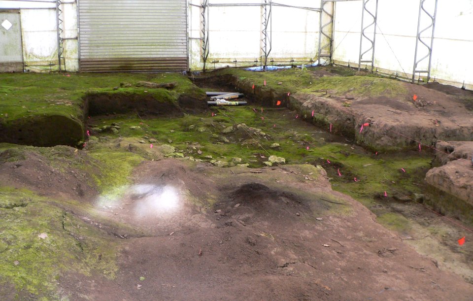 Engineer Cantonment excavations 1