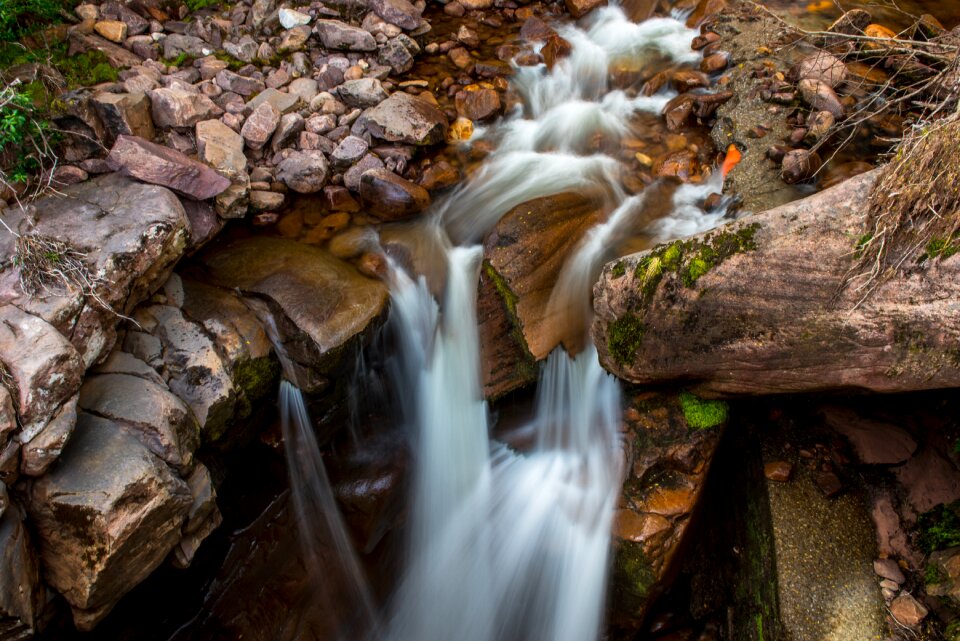 River moss forest