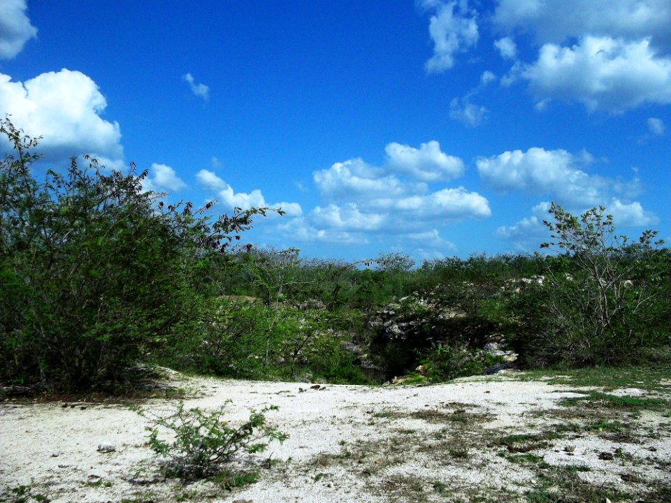 Euán, Yucatán (05)
