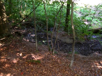 Etzbach oberste Quelle jenseits K 15