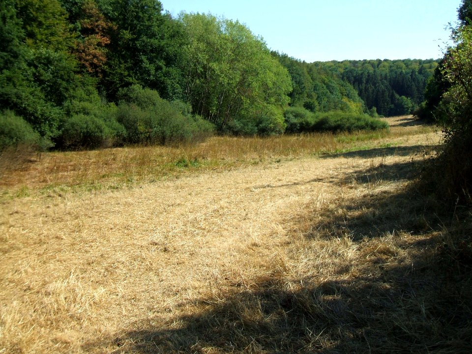 Etzbach Blick hinab letzte Quelle und Kresbsbach