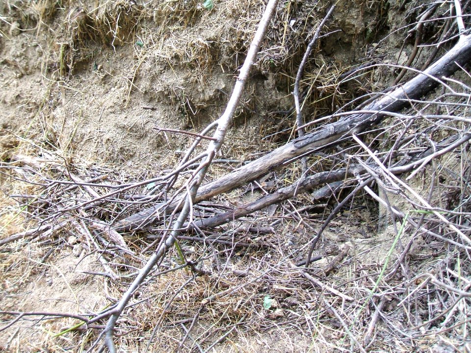 Etzbach trocken an Durchlass Maibacher Weg
