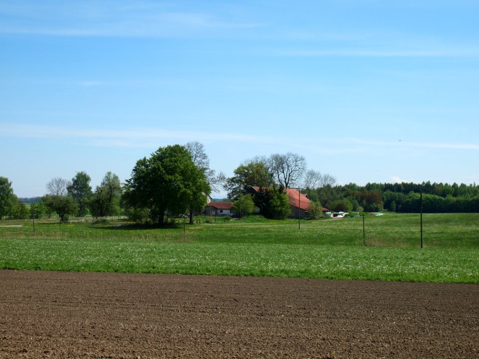 Ettringen-Felderhof 01
