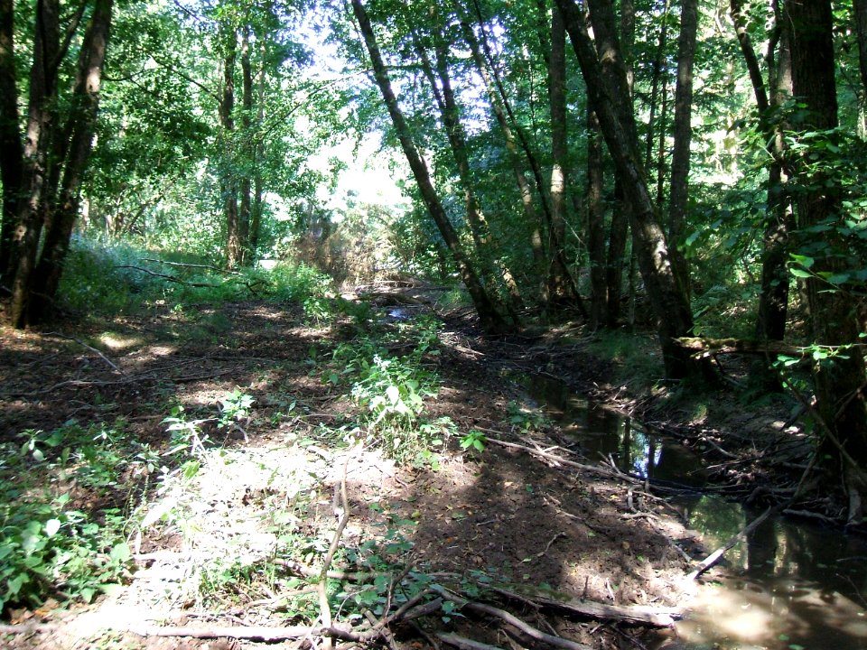 Etzbach Schlamm vor Mündung in Teich