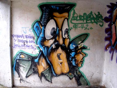 Etxarri-Aranatz - Graffiti 08