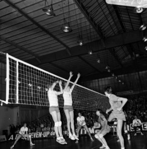 Europa Cup Volleybal Delta Lloyd AMVJ tegen Steana Boekarest 0-3, Bestanddeelnr 924-0705