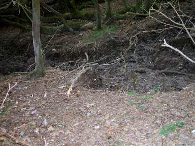 Etzbach untere Quelle Wald