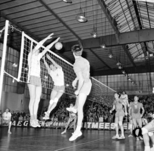 Europa Cup Volleybal Delta Lloyd AMVJ tegen Steana Boekarest 0-3 (l.) Geert, Bestanddeelnr 924-0703