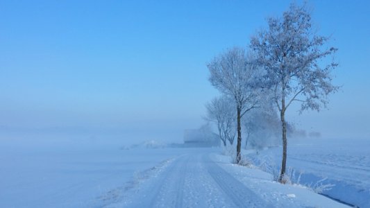 Ettringen Feldweg Allee Langweidbach Winter 2017