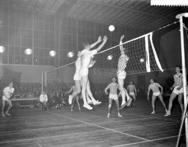 Europa-Cup volleybal MVC-Reva tegen Rapid Bucarest, Bestanddeelnr 912-2442