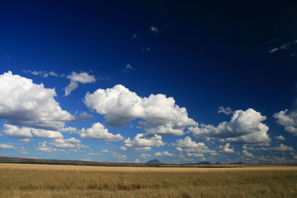 Bush landscape cloud