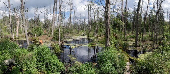 Water poland panorama