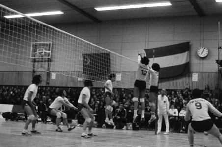 Europacup volleybal Delta Loyd tegen Panini (Italie), Bestanddeelnr 926-2160