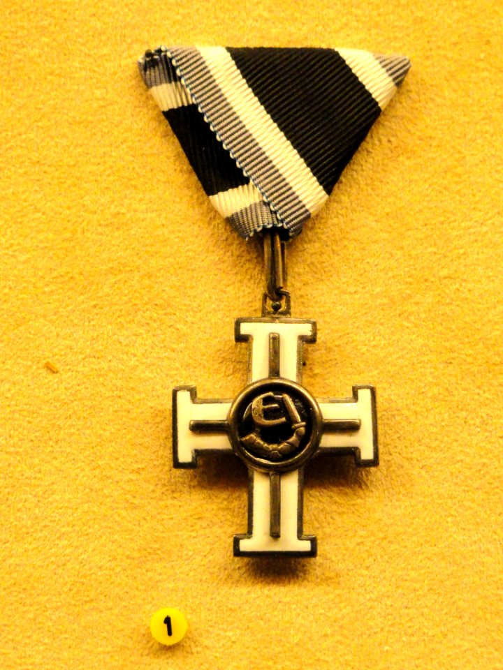 Estonian War of Independence decoration, 1st department, 3rd grade, 1919 - National Museum of Finland - DSC04010