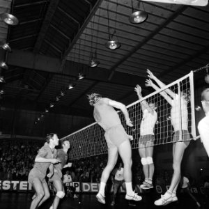 Europa Cup Volleybal Delta Lloyd AMVJ tegen Steana Boekarest 0-3, Bestanddeelnr 924-0709