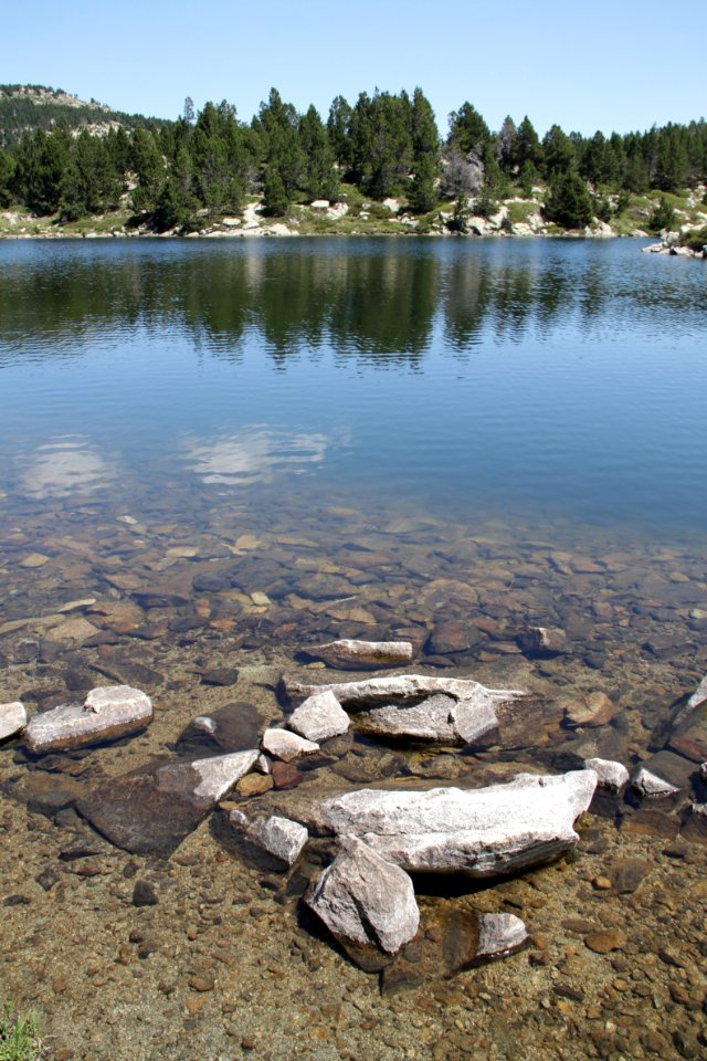 Etangs du Carlit 19072019 08 Estany de la Comassa 9559
