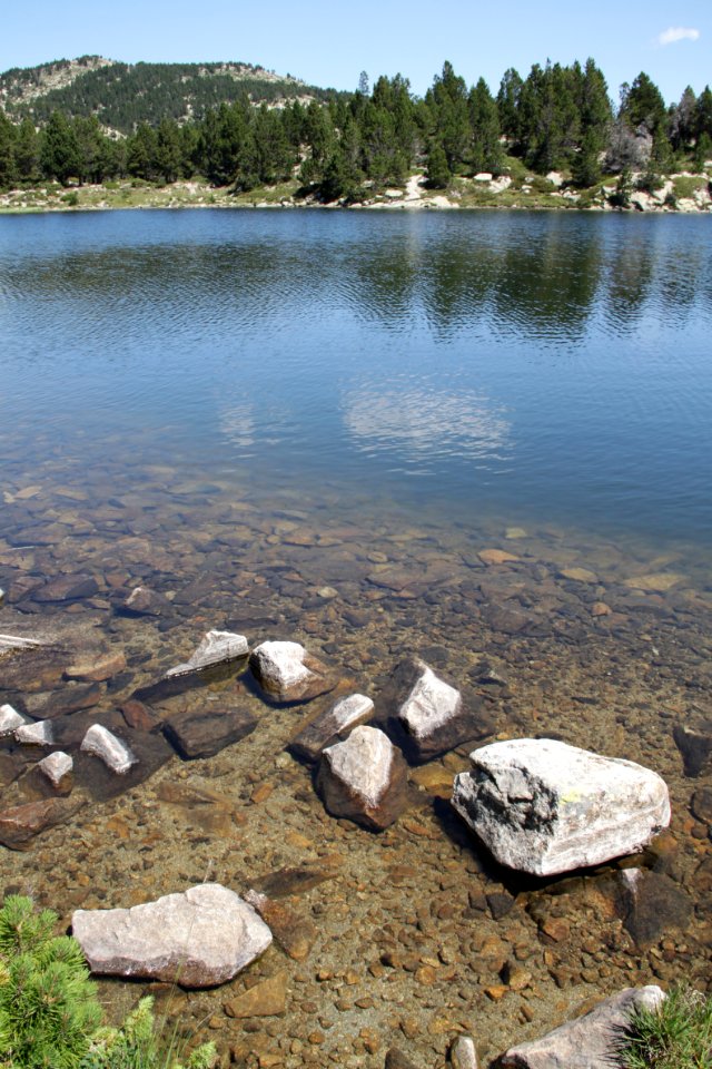 Etangs du Carlit 19072019 07 Estany de la Comassa 9557