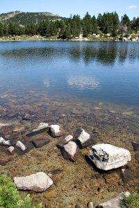 Etangs du Carlit 19072019 07 Estany de la Comassa 9557