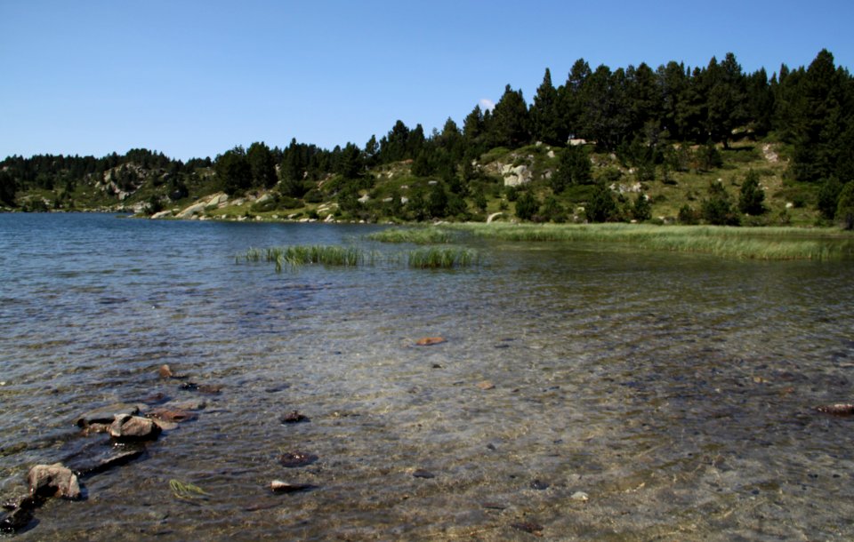 Etangs du Carlit 19072019 03 Estany Negre 9528