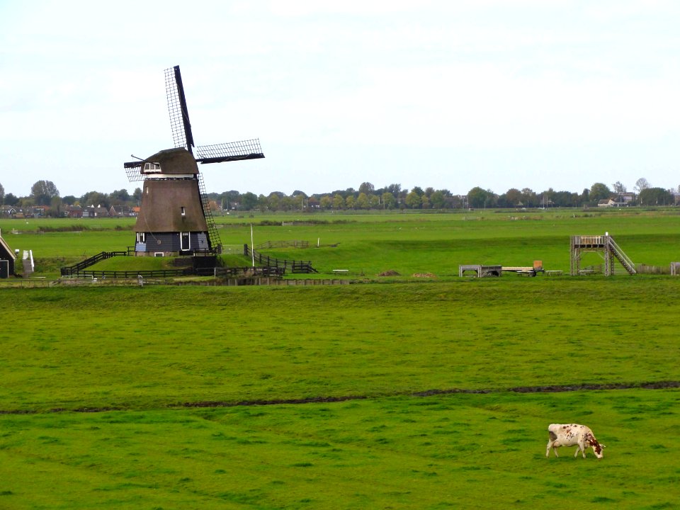 Etersheimer Braakmolen1