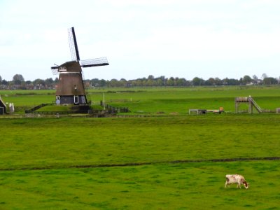 Etersheimer Braakmolen1