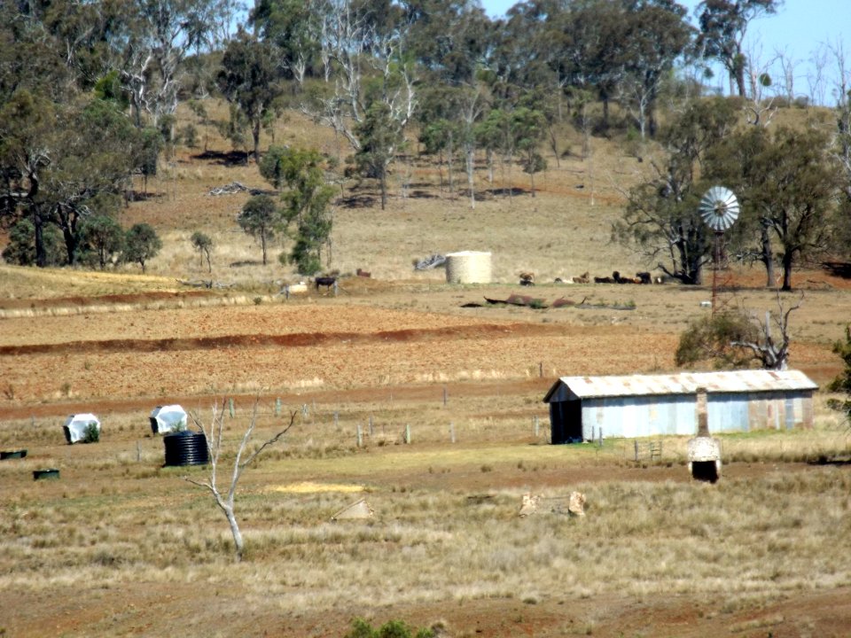 Eton Vale Homestead Ruins