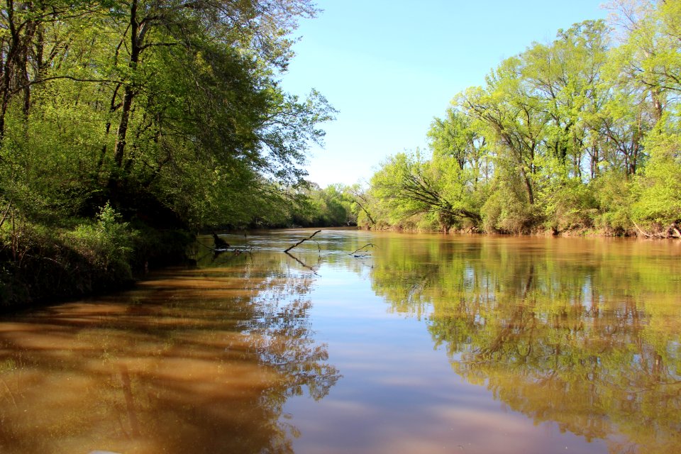 Etowah River in Bartow County Georgia