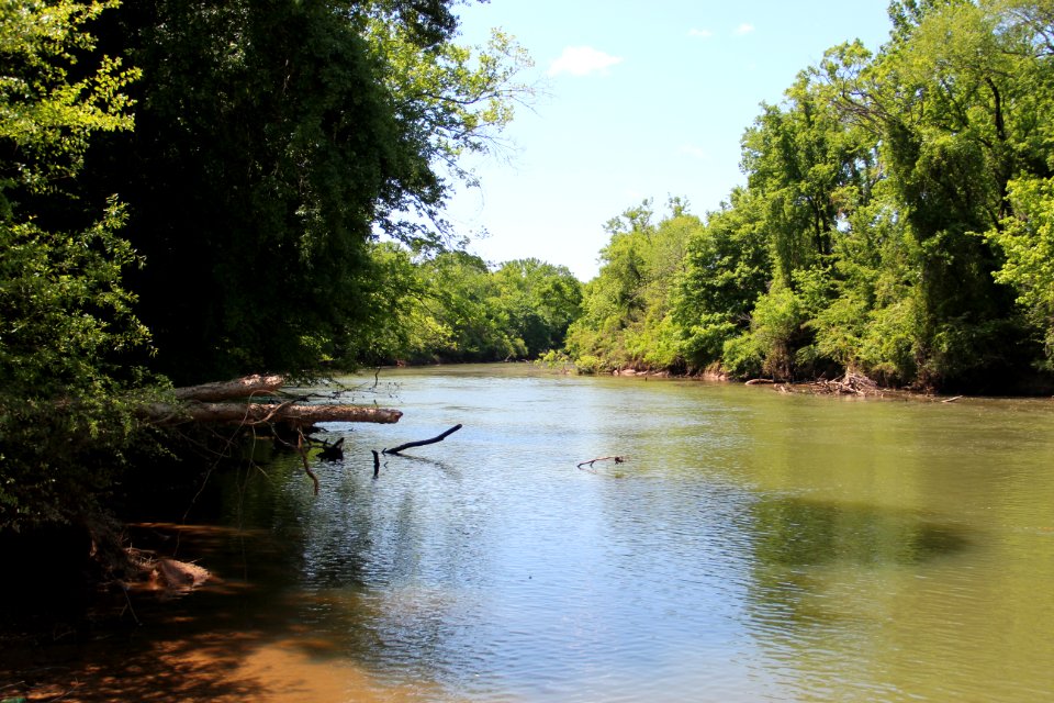 Etowah River, Bartow County, May 2018
