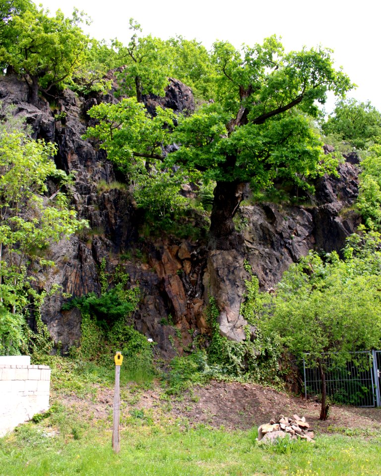 Eulenfelsen ARB7343