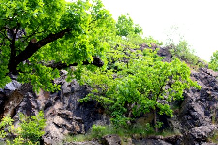 Eulenfelsen ARB7380