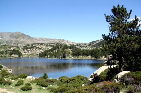 Etangs du Carlit 19072019 04 Estany de la Comassa 9534