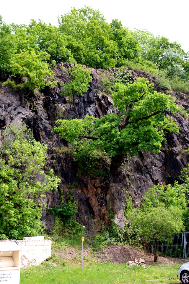 Eulenfelsen ARB7334