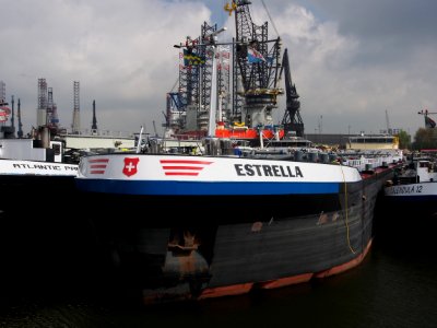 Estrella, ENI 02333428
