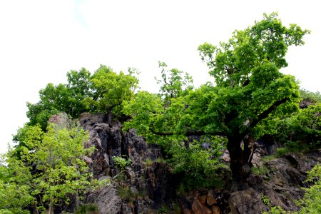 Eulenfelsen ARB7363