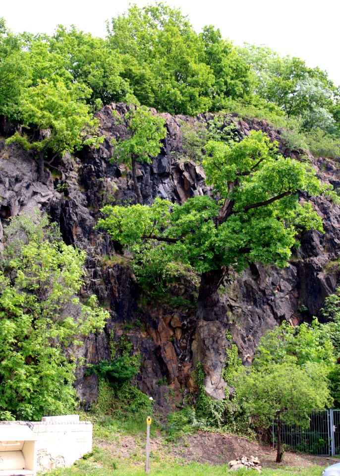 Eulenfelsen ARB7330