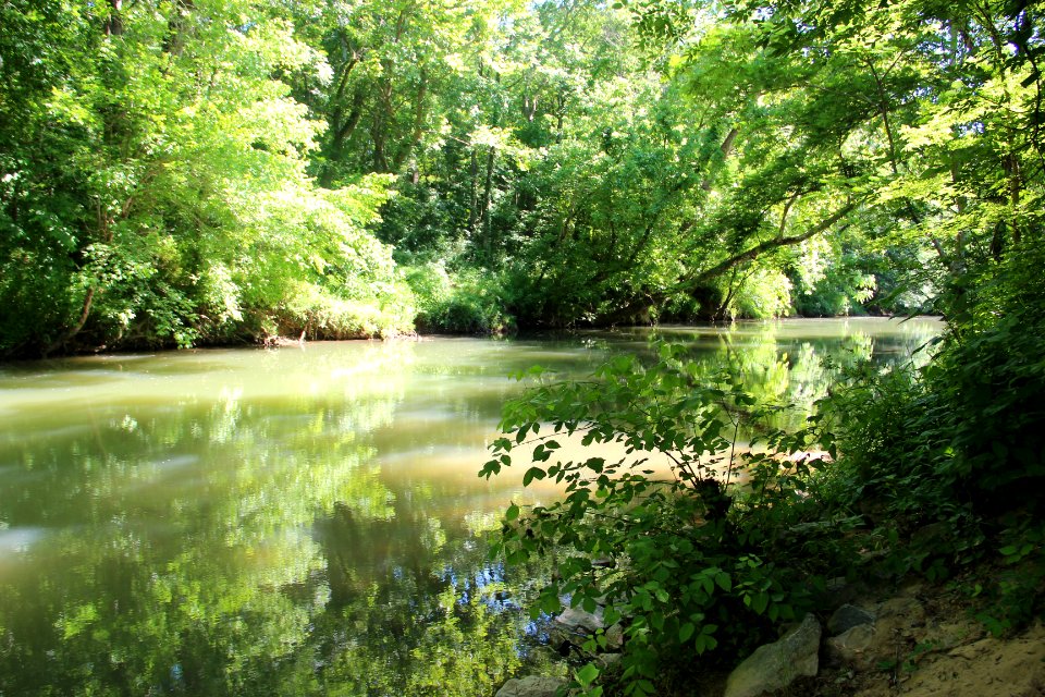 Euharlee Creek near Euharlee, May 2015