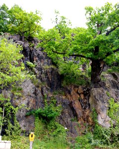 Eulenfelsen ARB7375