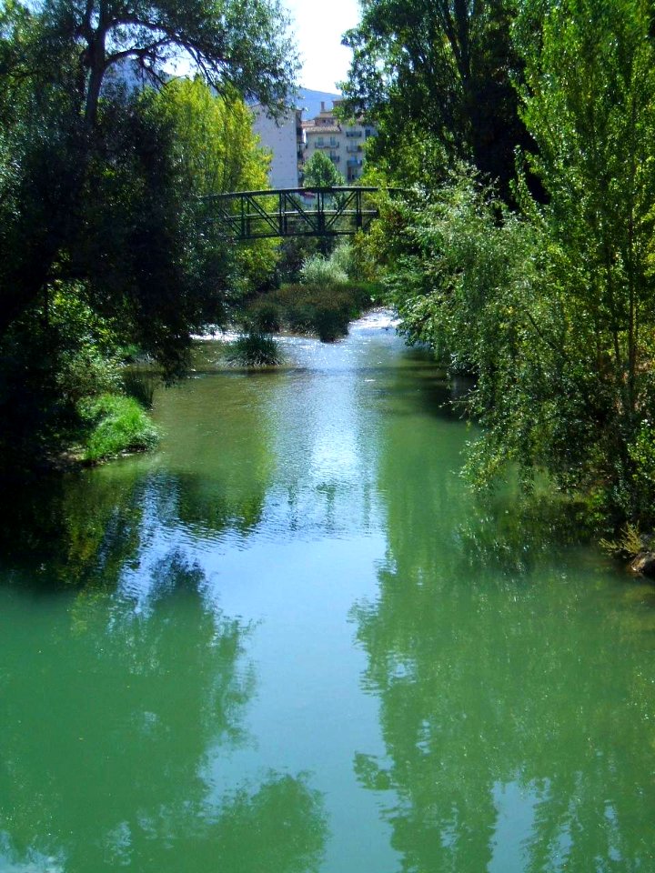 Estella - Río Ega 3