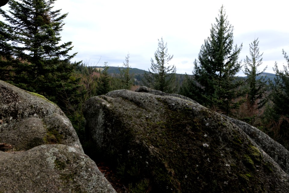 Eulenstein 2020-03-14 04