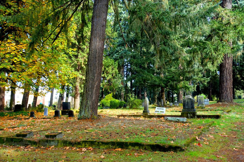 Eugene Pioneer Cemetery - Eugene, Oregon - DSC09593