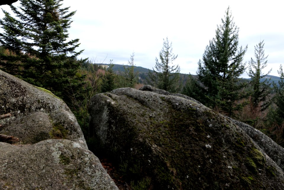 Eulenstein 2020-03-14 03