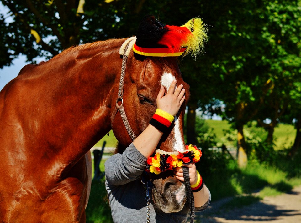 Germany horse girl